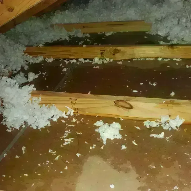 Attic Water Damage in LaGrange, GA